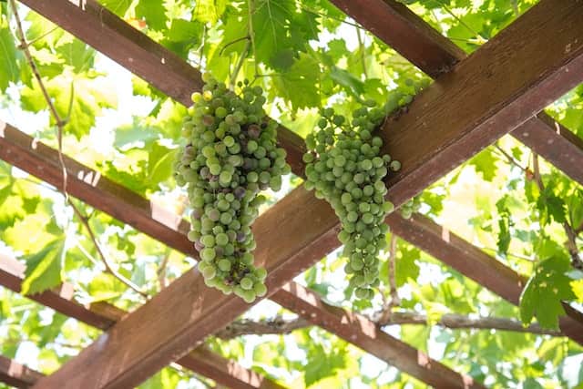 How To Attach A Pergola To A House With Gutters